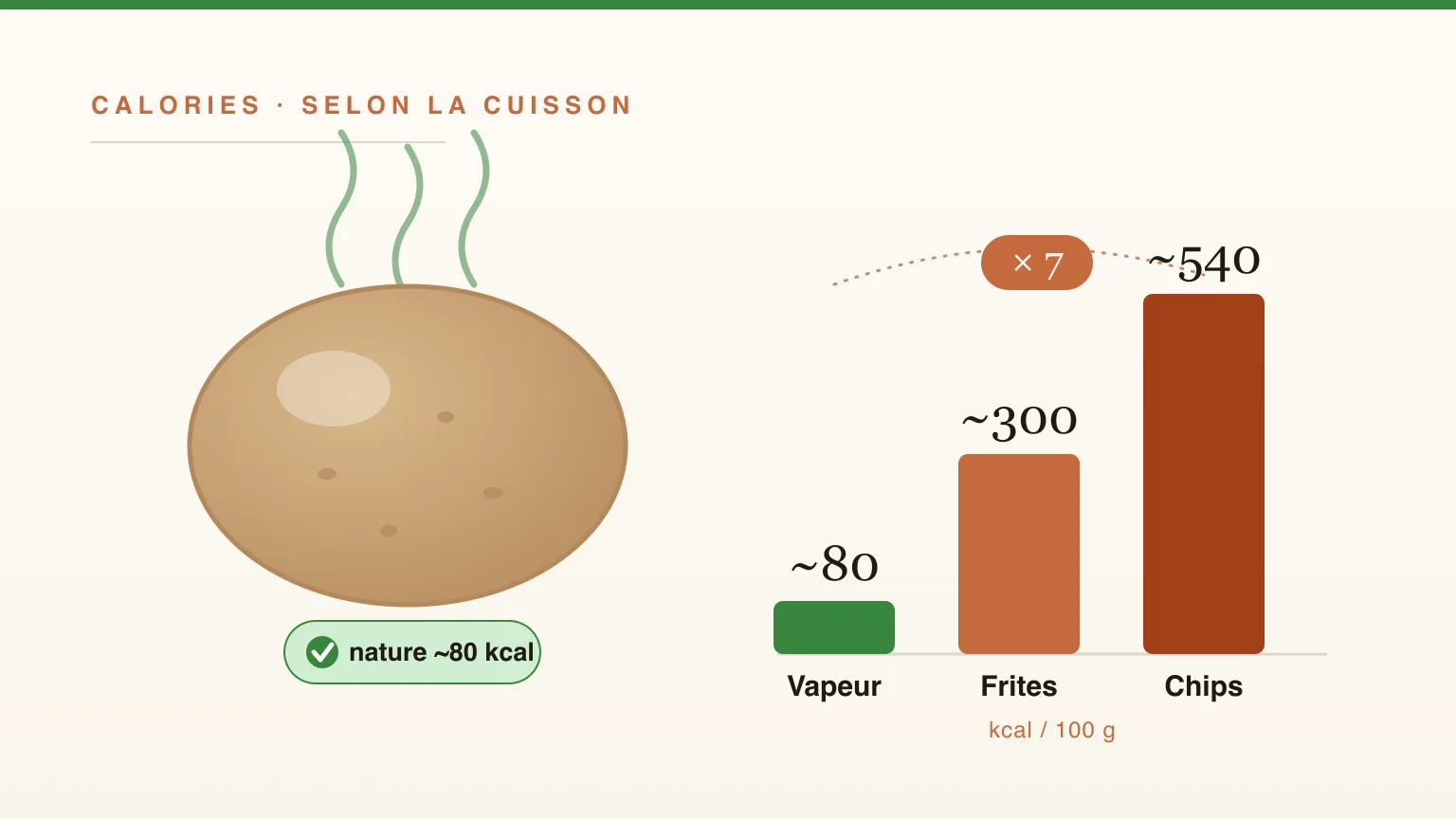 Combien de calories dans une pomme de terre ? Vapeur, four, frites : pourquoi la cuisson change tout