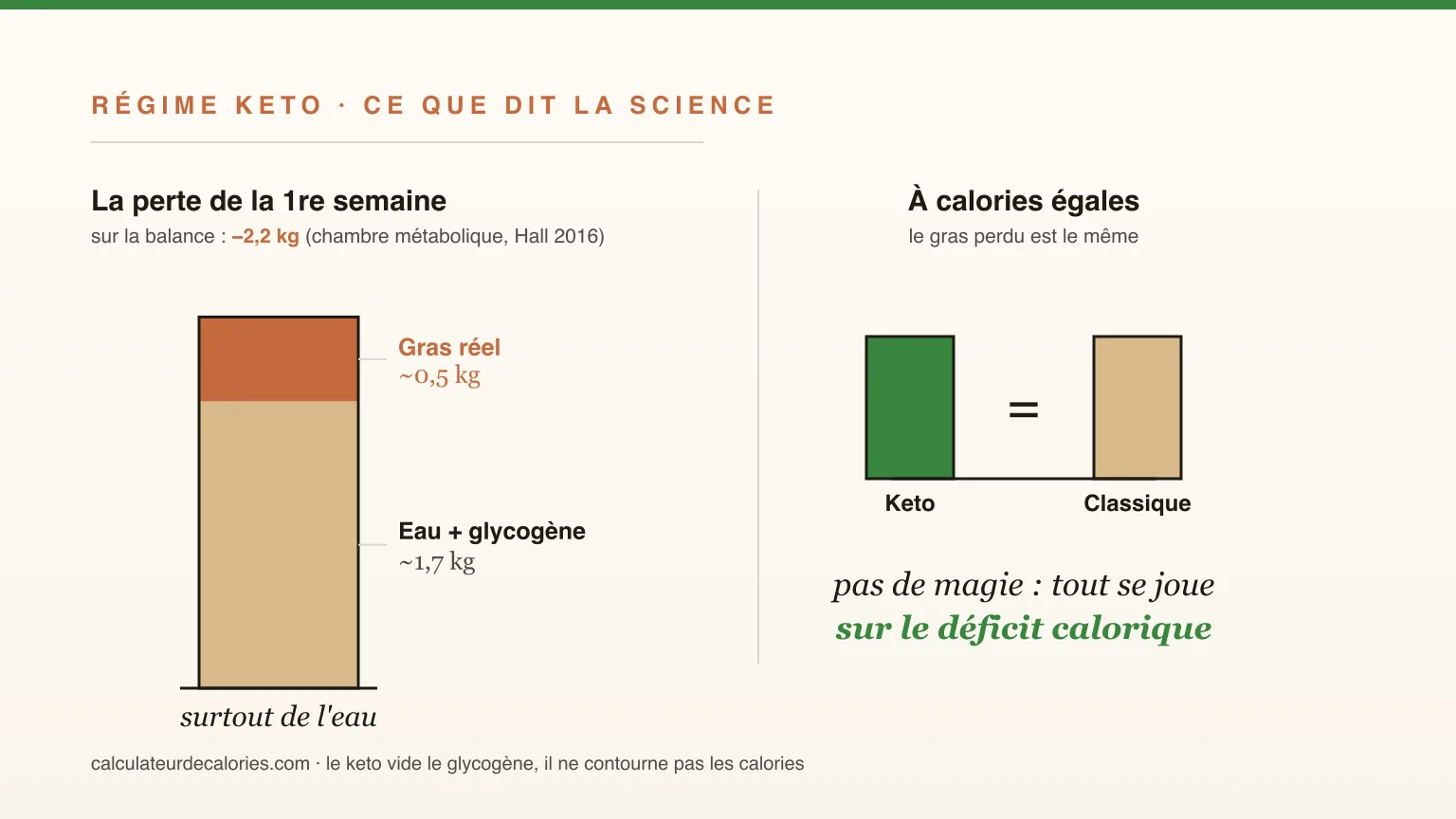 Le régime keto (cétogène) fait-il vraiment maigrir plus vite ?